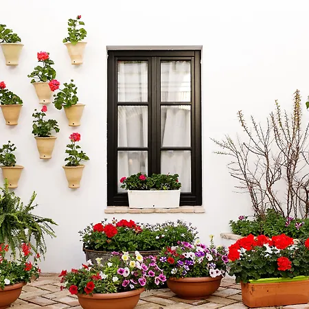 La De Pilar Aparthotel 4*